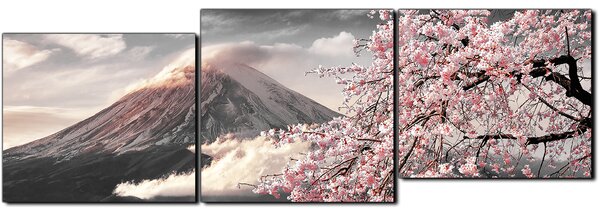 Slika na platnu - Planina Fuji i cvjetanje trešnje u proljeće - panorama 5266QE (90x30 cm)