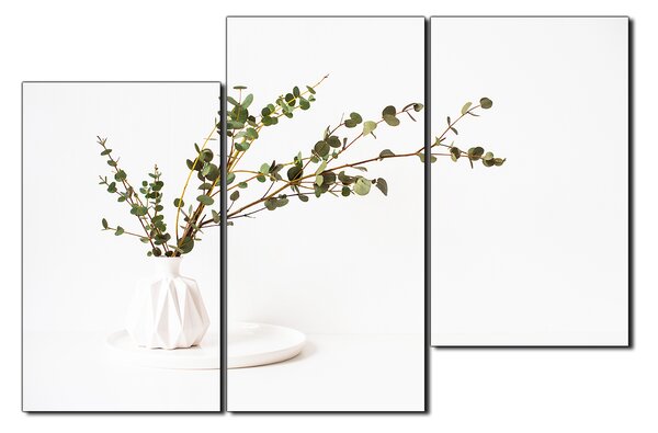 Slika na platnu - Grana eukaliptusa u bijeloj vazi na bijeloj pozadini 1272D (90x60 cm)