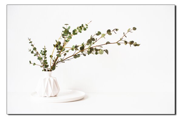 Slika na platnu - Grana eukaliptusa u bijeloj vazi na bijeloj pozadini 1272A (60x40 cm)