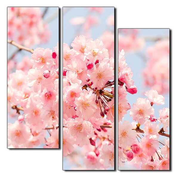 Slika na platnu - Trešnjin cvijet - kvadrat 3279D (75x75 cm)