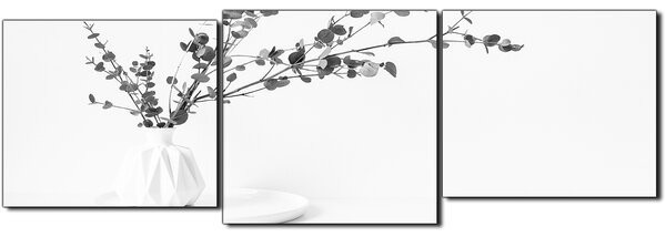 Slika na platnu - Grana eukaliptusa u bijeloj vazi na bijeloj pozadini - panorama 5272QD (90x30 cm)