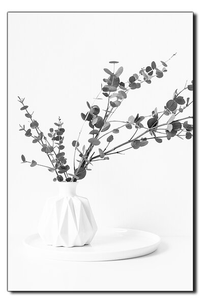Slika na platnu - Grana eukaliptusa u bijeloj vazi na bijeloj pozadini - pravokutnik 7272QA (60x40 cm)
