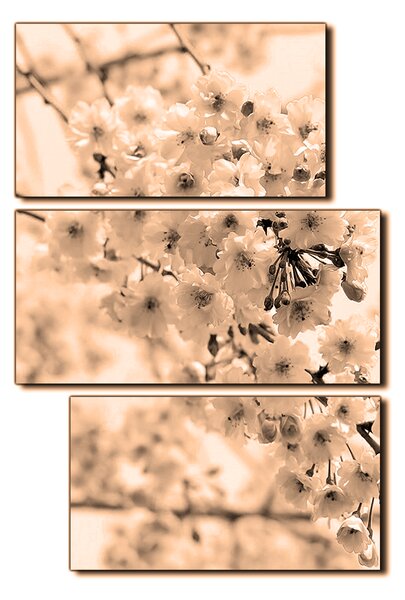 Slika na platnu - Trešnjin cvijet - pravokutnik 7279FD (90x60 cm)