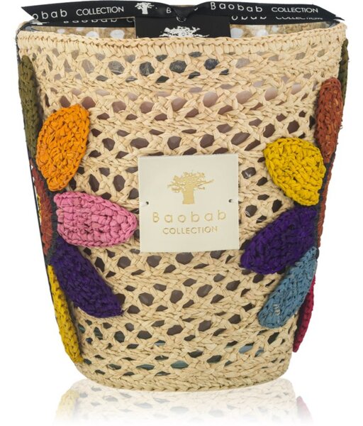 Baobab Collection Tournesol Girasol mirisna svijeća 1100 g