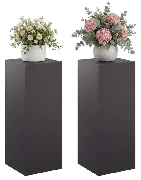 Stalak za biljke 2 pcs Crna 40 x 40 x 100 cm Čelik - Crna 2x (40 x 40 x 100 cm)