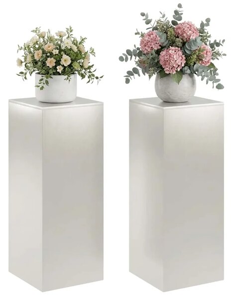 Stalak za biljke 2 pcs Srebrna 40 x 40 x 100 cm Čelik - Nehrđajući čelik 2x (40 x 40 x 100 cm)