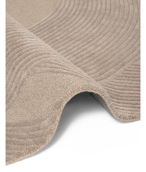 Bež vunen tepih 160x230 cm Kensington Victoria – Ted Baker