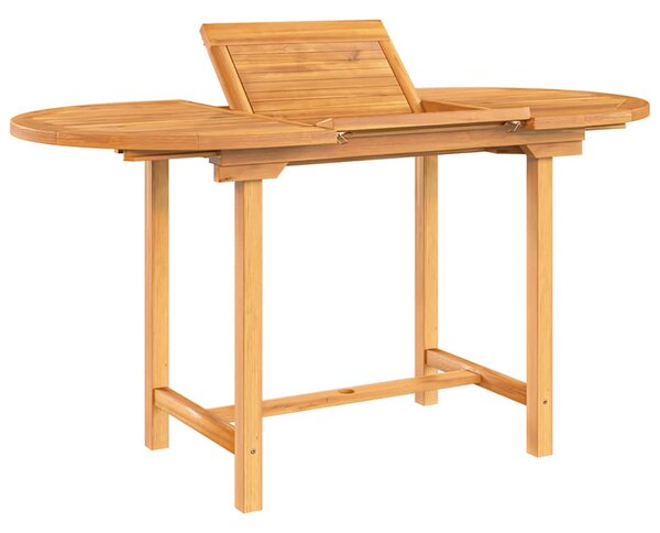 Vrtni stol na razvlačenje 110-160x80x75 cm od masivne tikovine - Smeđa / 160 x 80 x 75 cm