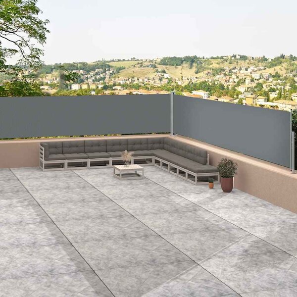 Uvlačiva bočna tenda antracit 117 x 1200 cm - Antracitno siva / 117 x 1200 cm