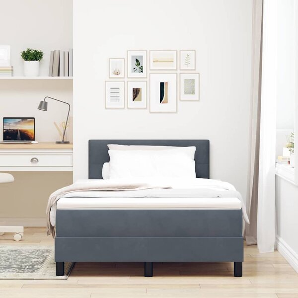 Krevet s opruga kutije Tamno siva 120 x 190 cm Baršun - Siva / 120 x 190 cm