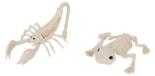 Sinsay - Ukras za Noć vještica 2 pack