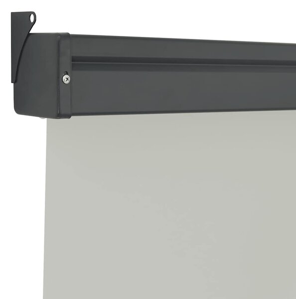 Balkonska bočna tenda 125 x 250 cm siva - Siva / 125 x 250 cm