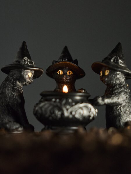 Sinsay - Halloween svijećnjak za lučicu u obliku mačaka s kotlićem