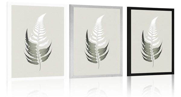 Plakat minimalistički listići paprati