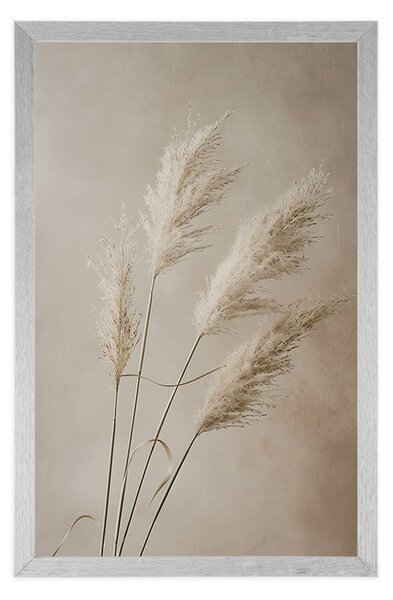 Plakat suha pampas trava