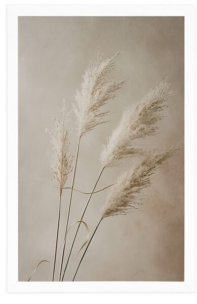 Plakat suha pampas trava