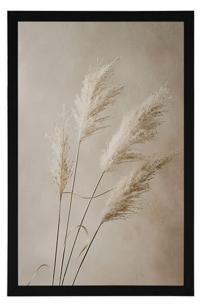 Plakat suha pampas trava