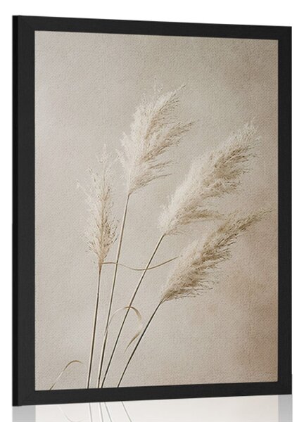Plakat suha pampas trava