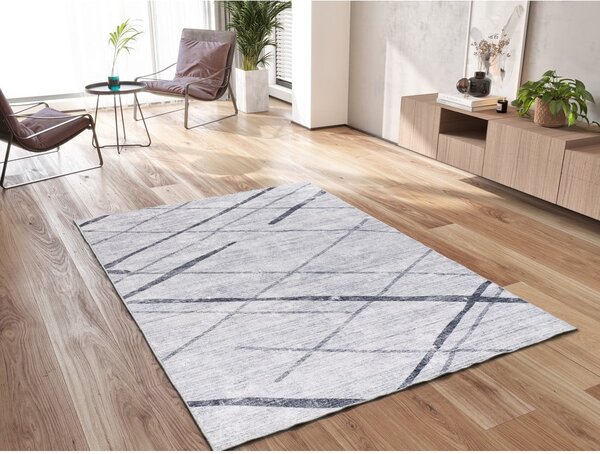 Svijetlo sivi tepih 160x230 cm Class – Universal