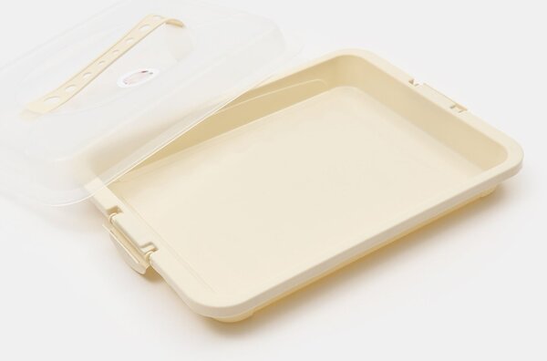Sinsay - Spremnik za tortu