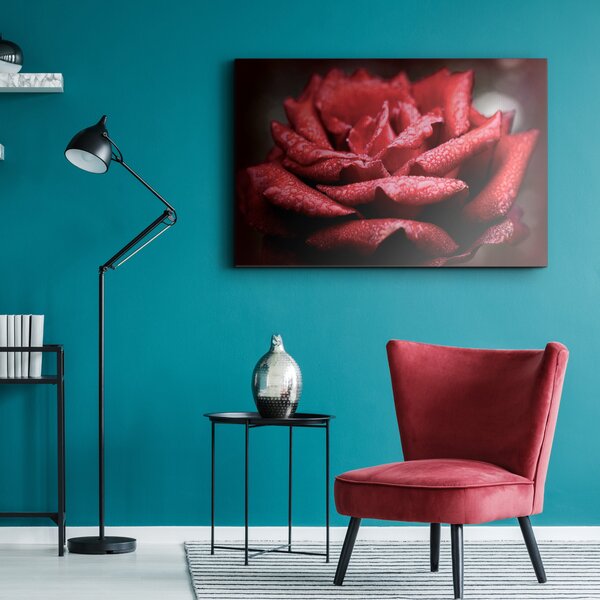 Zidni ukras Rosa in rosso