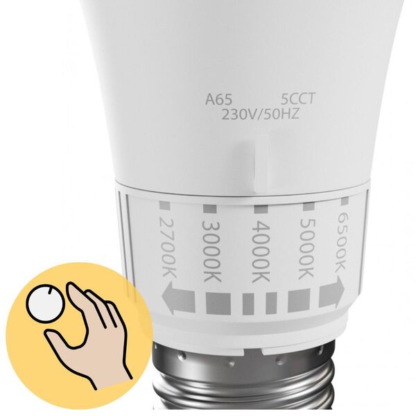 LED žarulja 5 boja svjetla GLS E27 230V 10W 5CCT