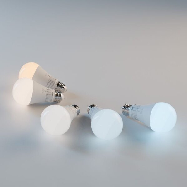 LED žarulja 5 boja svjetla GLS E27 230V 10W 5CCT
