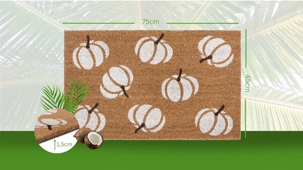 Otirač 45x75 cm Mix Mats - Hanse Home