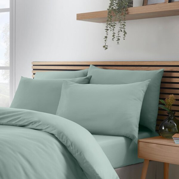 Jastučnice u setu 4 kom 50x75 cm So Soft Non-Iron – Catherine Lansfield