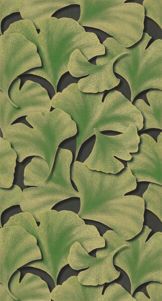 Tapeta Ginkgo Biloba 8 boja