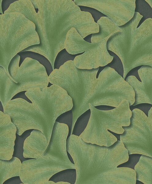 Tapeta Ginkgo Biloba 8 boja