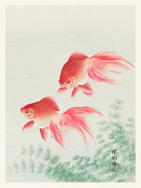 Reprodukcija Two Veil Goldfish, Ohara Koson