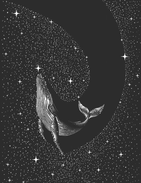 Ilustracija Starry Whale, Aliriza Cakir, (30 x 40 cm)