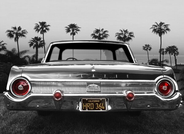 Fotografija Ford Galaxie 500XL, Larry Butterworth