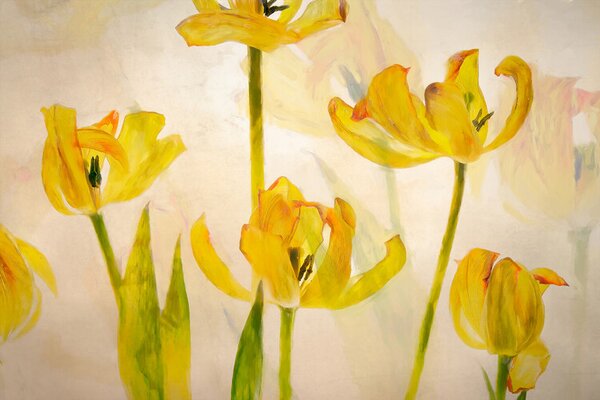 Ilustracija Flowering tulips, Nel Talen