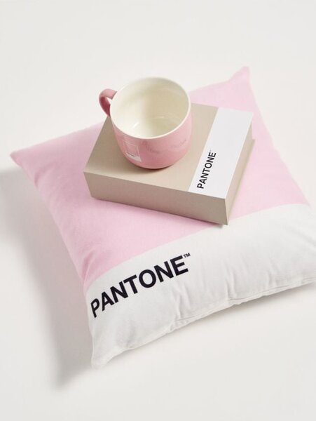 Sinsay - Jastučnica Pantone
