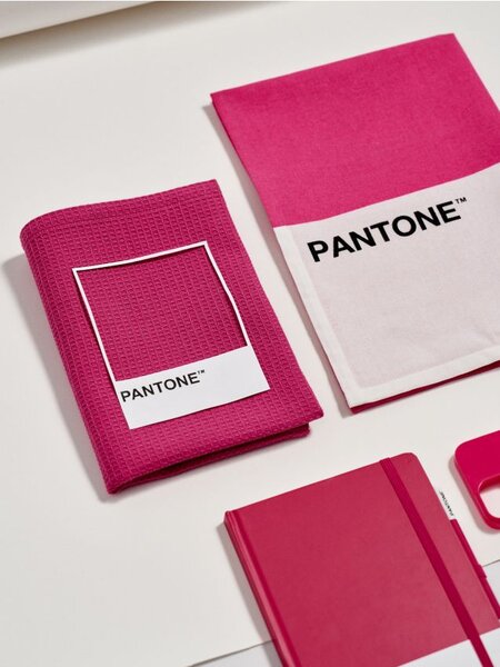 Sinsay - Komplet od 2 kuhinjske krpe Pantone