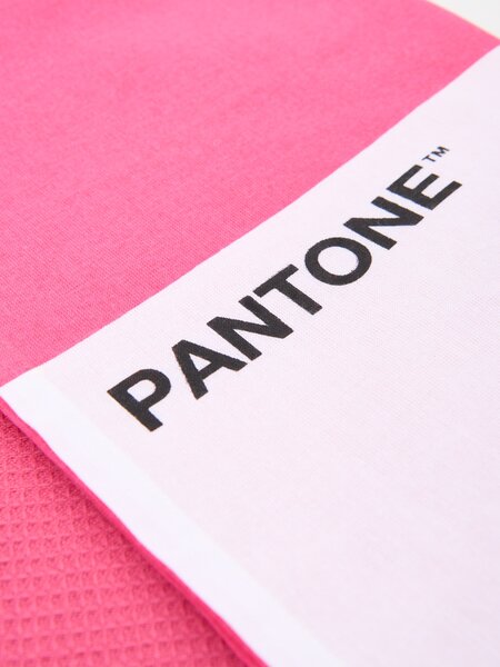 Sinsay - Komplet od 2 kuhinjske krpe Pantone