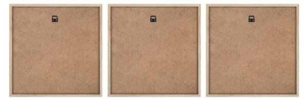 Slike u setu 3 kom 30x30 cm Pampas – Styler