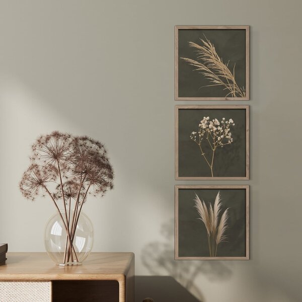 Slike u setu 3 kom 30x30 cm Pampas – Styler