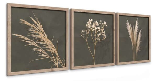 Slike u setu 3 kom 30x30 cm Pampas – Styler
