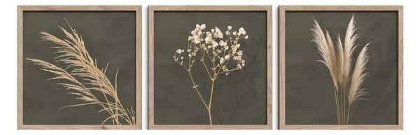 Slike u setu 3 kom 30x30 cm Pampas – Styler