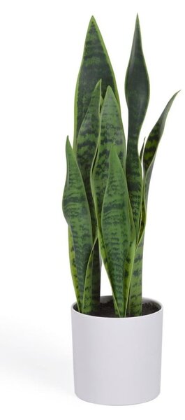Umjetna biljka (visina 55 cm) Sansevieria – Kave Home