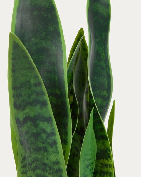 Umjetna biljka (visina 55 cm) Sansevieria – Kave Home
