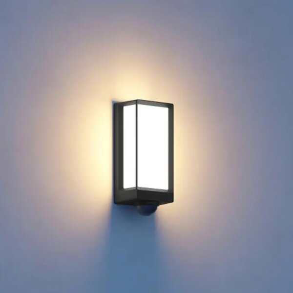 LED VANJSKA ZIDNA SVJETILJKA SENZOR I BLUETOOTH L 42 SC ANTRACIT 13W 3000K 889lm L42 SC ANT