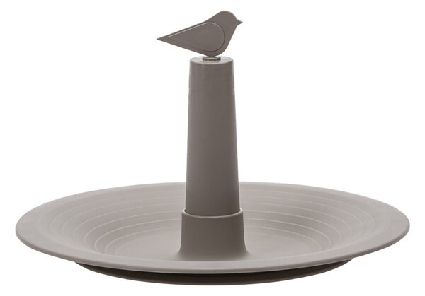 Sivo-bež pojilica za ptice Finch - Plastia