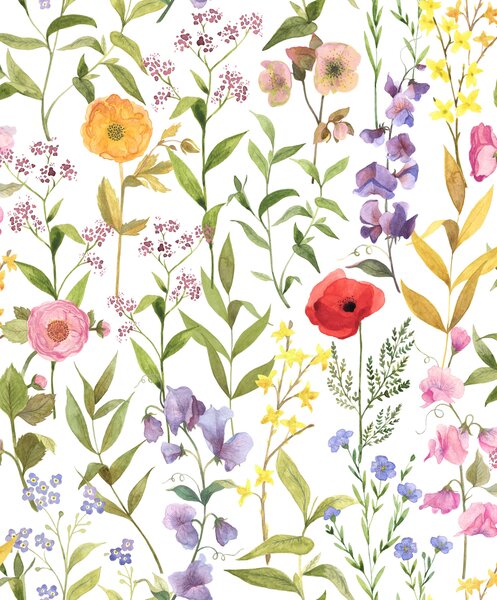 Tapeta Fleurs Des Champs 4 boje