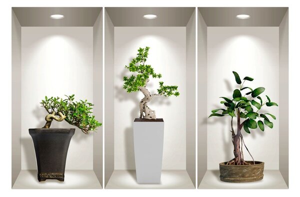 Set s 3 zidne 3D samoljepljive naljepnice Ambiance Bonsai Plants