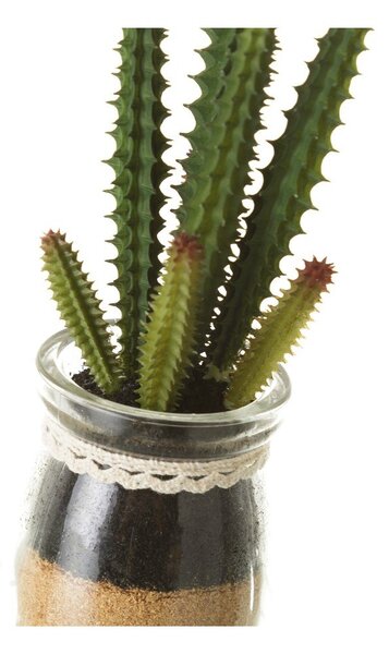 Umjetne biljke u setu 4 kom (visina 18 cm) Cactus – Casa Selección