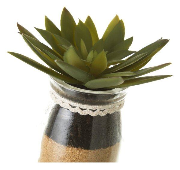 Umjetne biljke u setu 4 kom (visina 18 cm) Cactus – Casa Selección